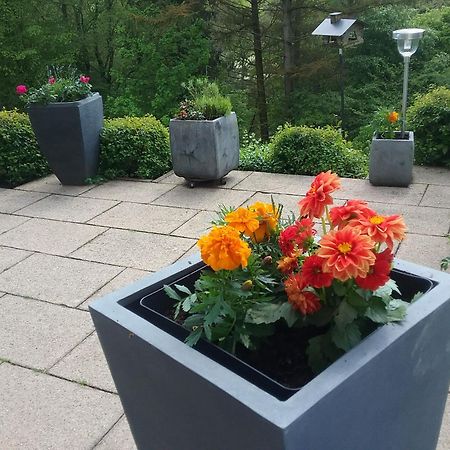 Ferienwohnung Perlbachtal Monschau Exterior foto