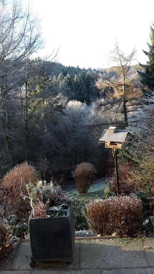 Ferienwohnung Perlbachtal Monschau Exterior foto