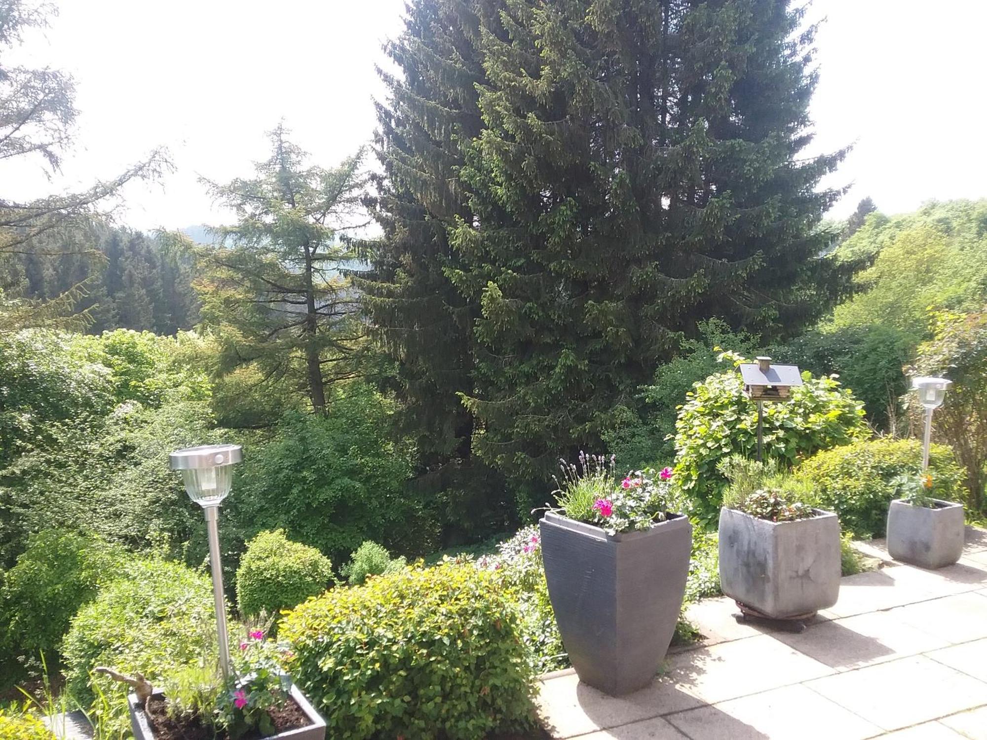 Ferienwohnung Perlbachtal Monschau Exterior foto